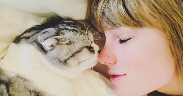 Taylor-Swift-cat-lady
