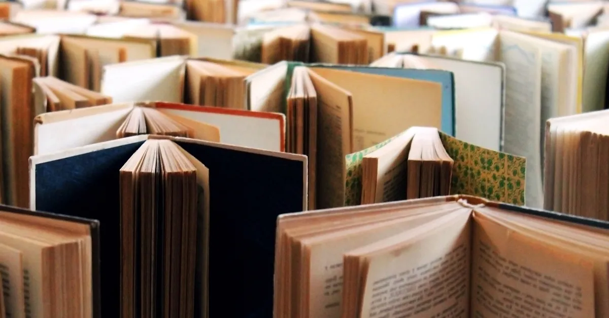 Image-post-libri_4